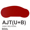 AJT(U+B)-MÀU ĐỎ CAMAY 2 LỚP-INFERNO RED-PEARL