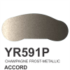 YR591P-MÀU CHAMPAGNE-CHAMPAGNE FROST-METALLIC
